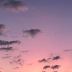 Meet your Posher, Isabelle